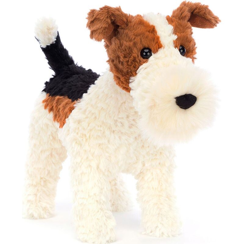 Fox Terrier Hector