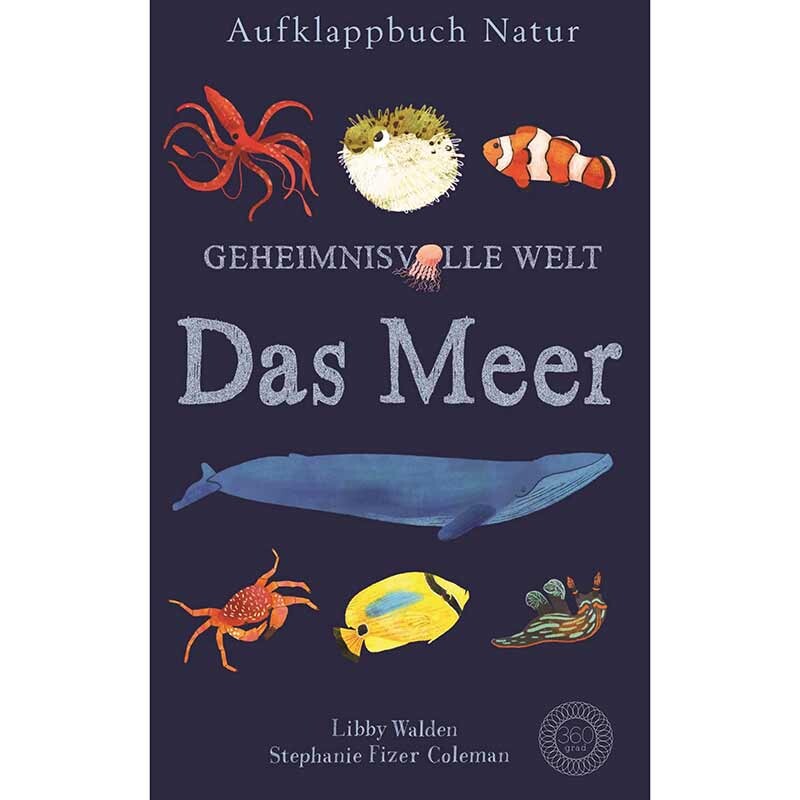 Aufklappbuch Natur geheimnisvolle Welt - Das Meer 4J+